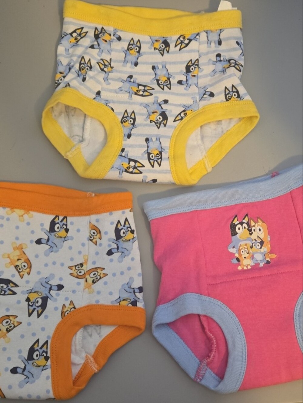 NWOT Bluey Training Pants - 2T